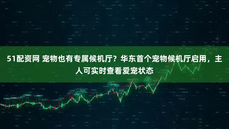 51配资网 宠物也有专属候机厅？华东首个宠物候机厅启用，主人可实时查看爱宠状态
