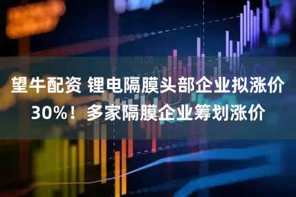 望牛配资 锂电隔膜头部企业拟涨价30%！多家隔膜企业筹划涨价