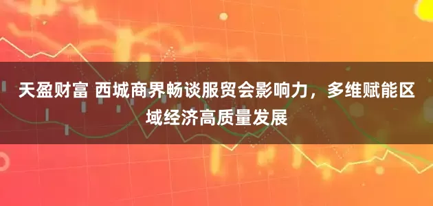 天盈财富 西城商界畅谈服贸会影响力，多维赋能区域经济高质量发展